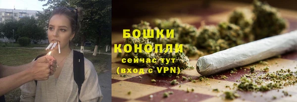 PSILOCYBIN Богородицк