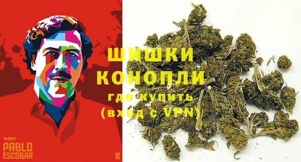 PSILOCYBIN Богородицк